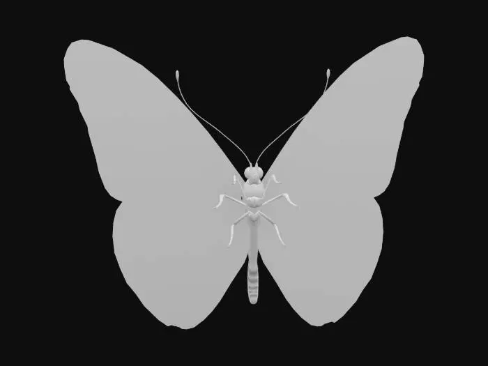 3D model for butterfly