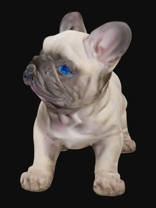 3D model for french bullDog