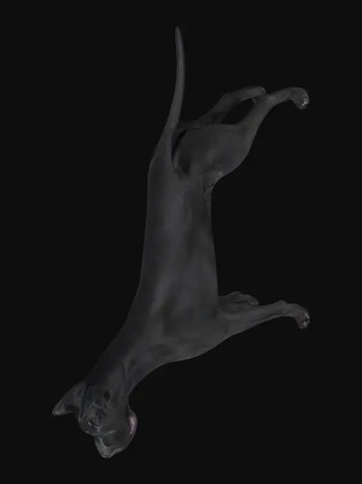 3D model for black dog