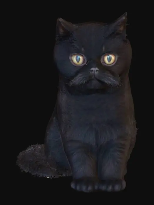 3D model for Shadow Whiskers