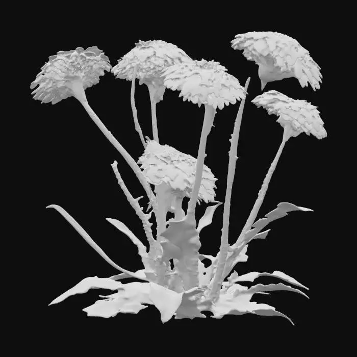 3D model for Dandelion Cluster