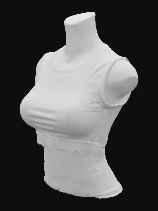 3D model for Cropped top
