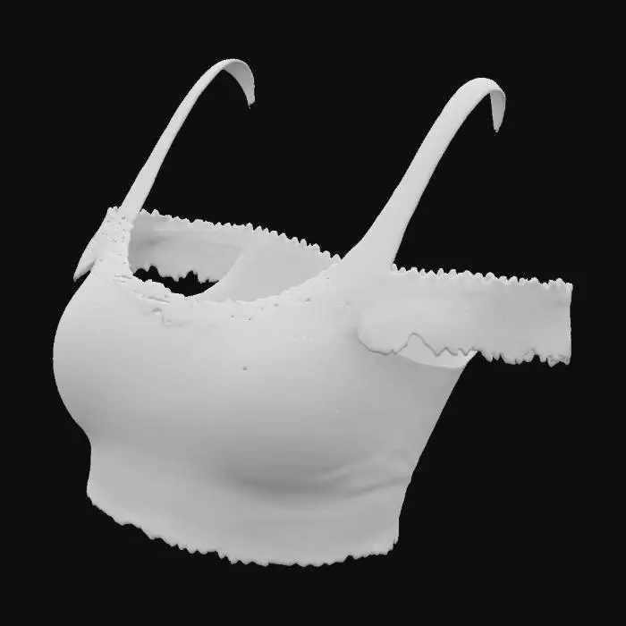3D model for Women’s cropped top clothing