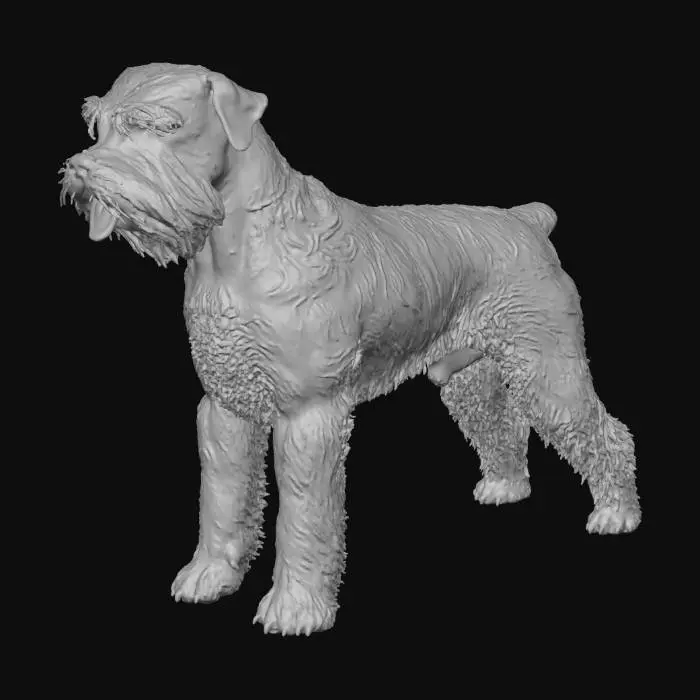 3D model for Giant Schnauzer