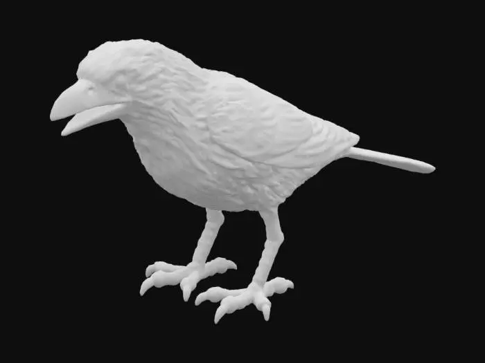 3D model for Raven