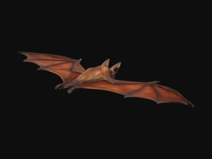 3D model for Bat_Outta_Hell