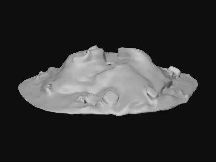 3D model for a pile of mud