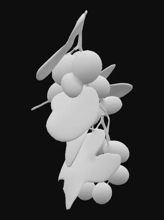 3D model for Java Plum Berries