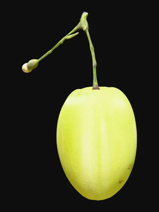 3D model for Verdant Jewel