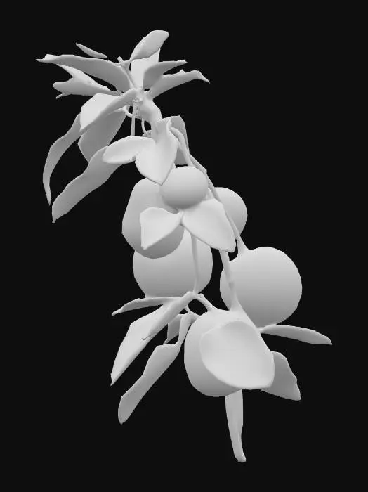3D model for Arbutus Delight