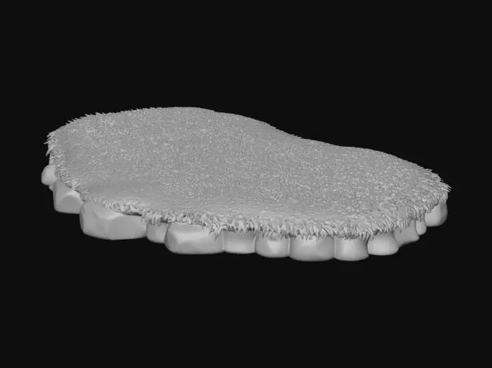 3D model for grassyland