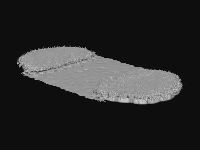 3D model for Pathway to Sleepywood