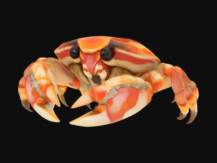 3D model for stylized hermit crab