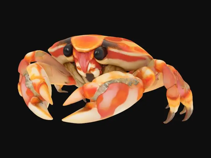 3D model for stylized hermit crab