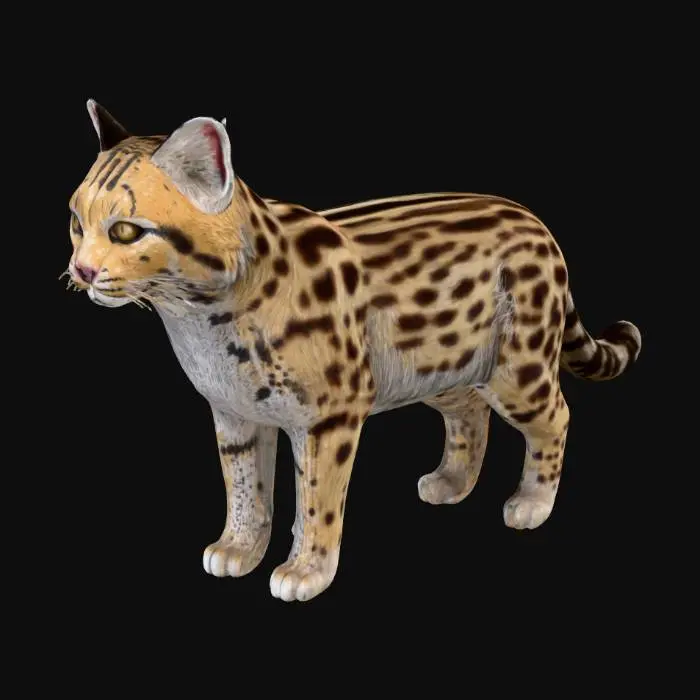 3D model for Spotted Elegance