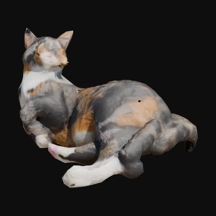 3D model for Whiskers Resting