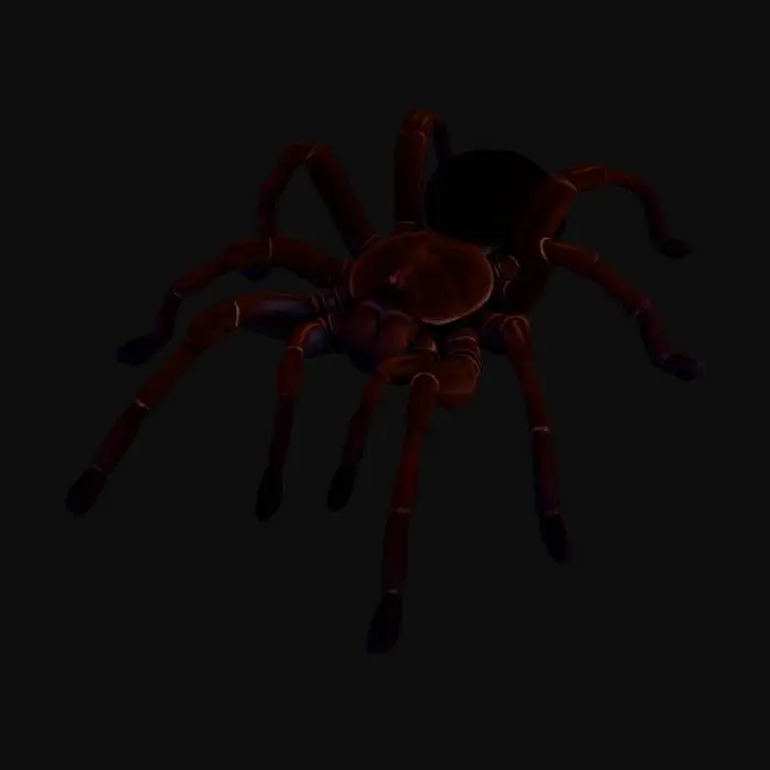 3D model for Theraphosa Stirm