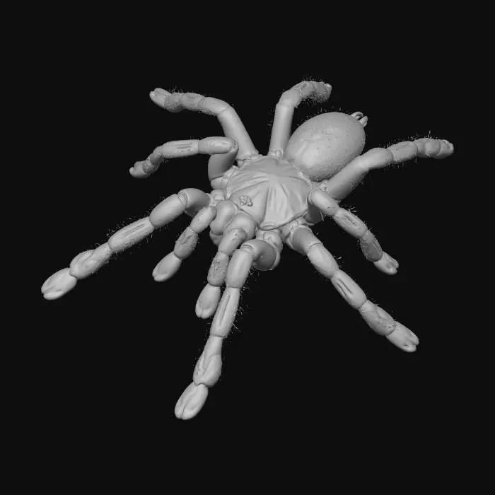 3D model for poecilotheria metallica