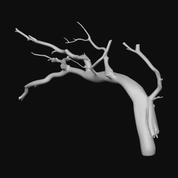 3D model for Twisted Branch