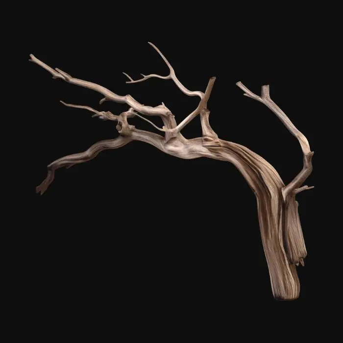 3D model for Twisted Branch