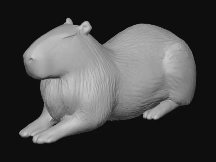 3D model for Capybara