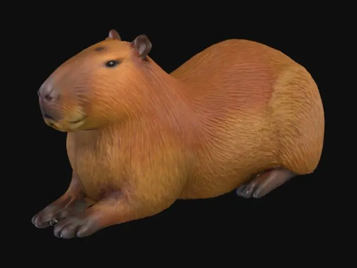 3D model for Capybara