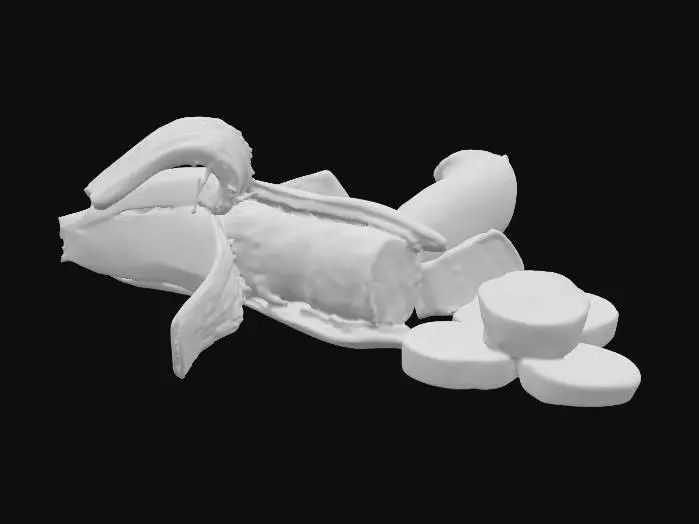 3D model for Sausage Banana