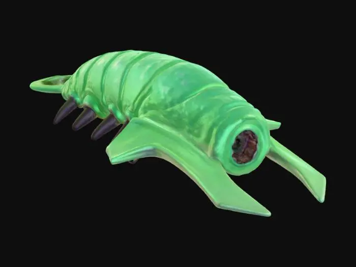 3D model for Subnautica Rock Grub