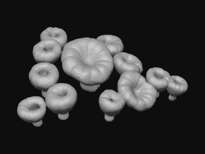 3D model for Subnautica Acid Mushroom