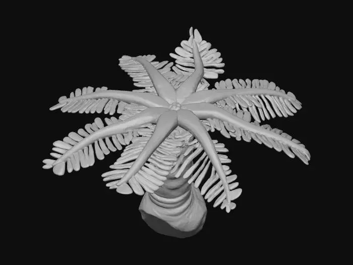 3D model for Subnautica Blue Palm