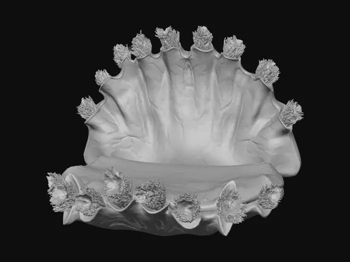 3D model for Subnautica Frozen Fly Trap