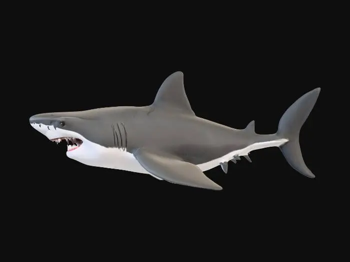 3D model for Greetings and Salutations may you please create a shark?