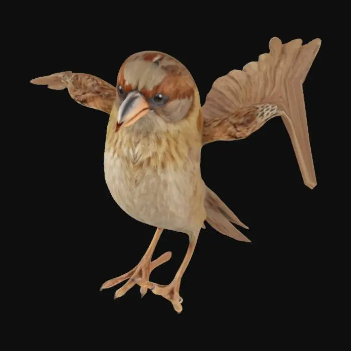 3D model for Sparrow Tpose