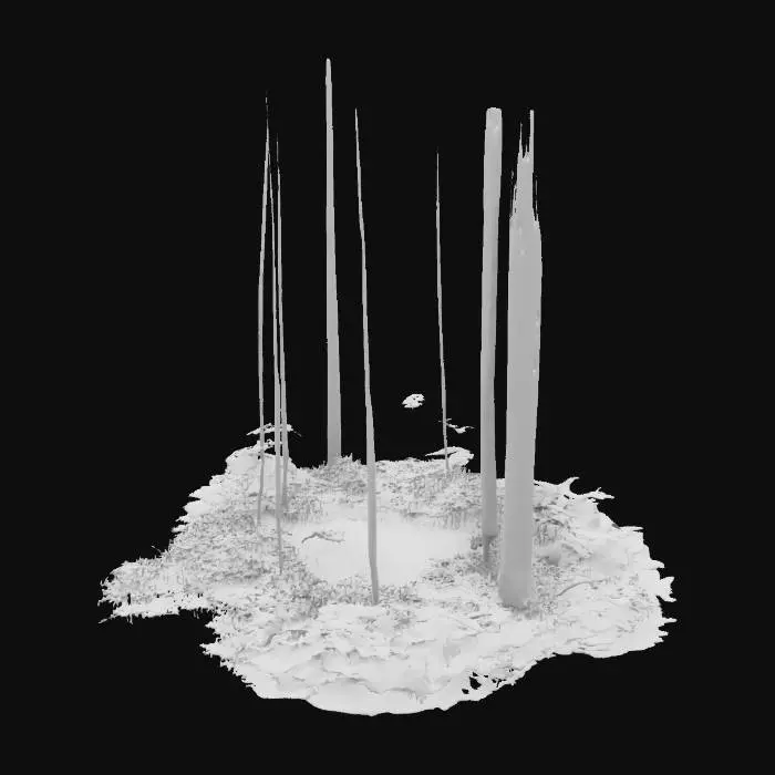 3D model for  a quiet forest path covered in fresh green leaves, #garden#