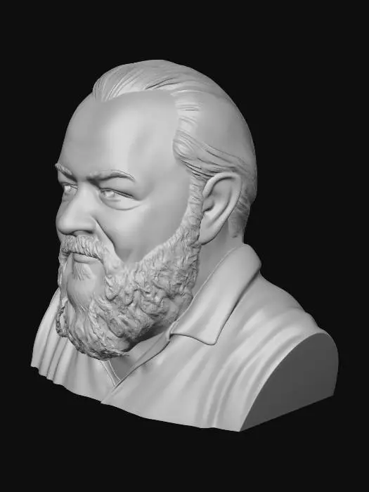 3D model for Bearded Portrait in Warm Light