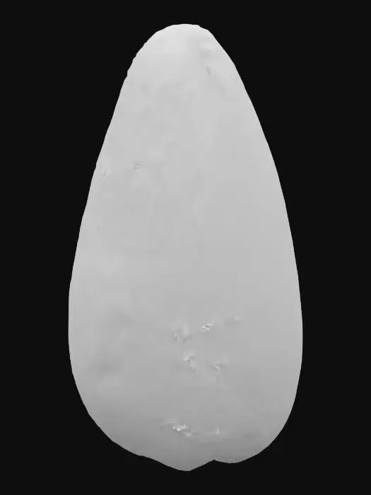 3D model for Sunflower Seed Close-Up