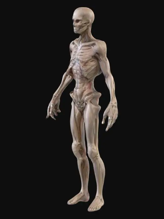 3D model for Ethereal Sentinel