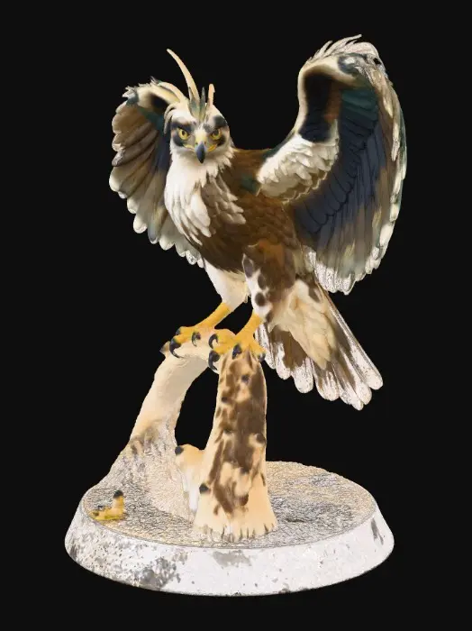 3D model for Pidgeot