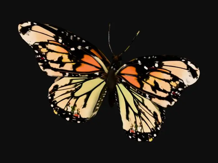 3D model for Monarch Butterfly