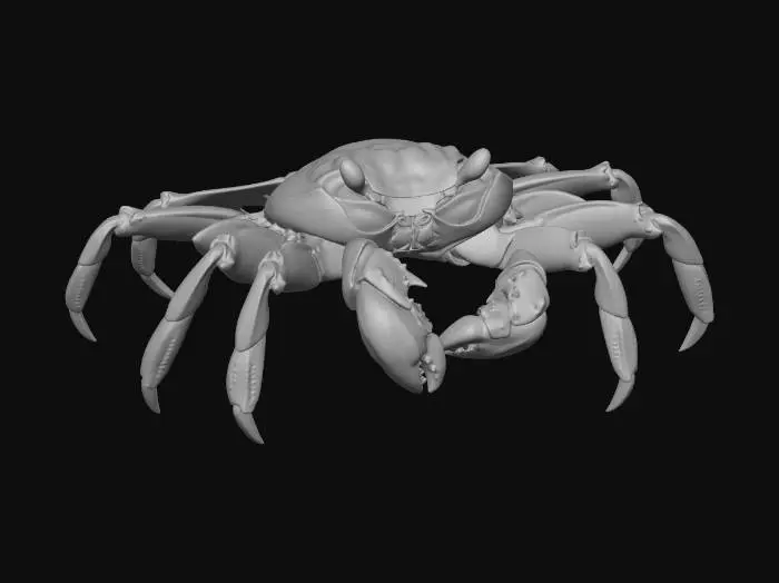 3D model for Sally Lightfoot Crab