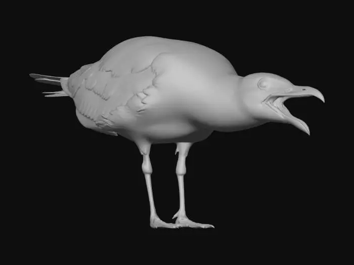 3D model for Lava Gull