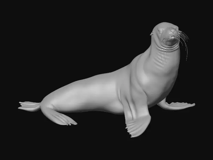 3D model for Galapagos Sea Lion