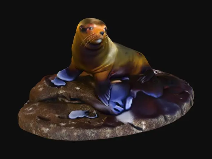 3D model for Galapagos Fur Seal