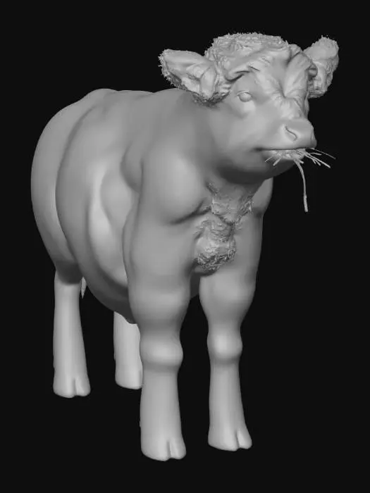 3D model for Fluffy Chewer