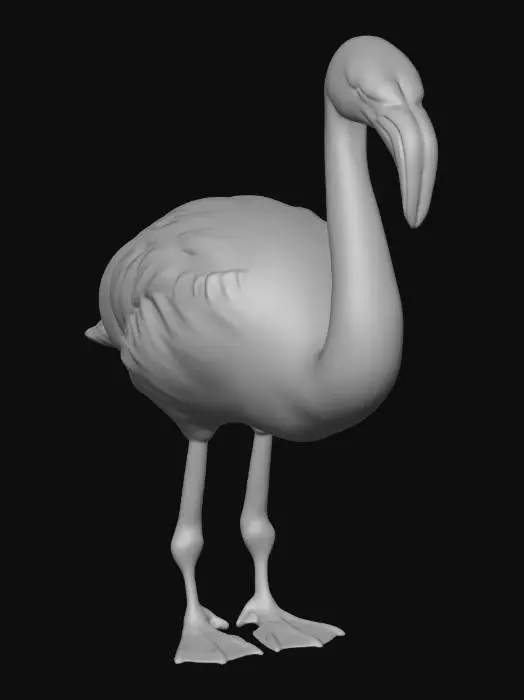 3D model for American Flamingo