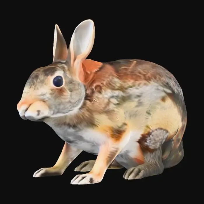 3D model for Eastern Cottontail Rabbit