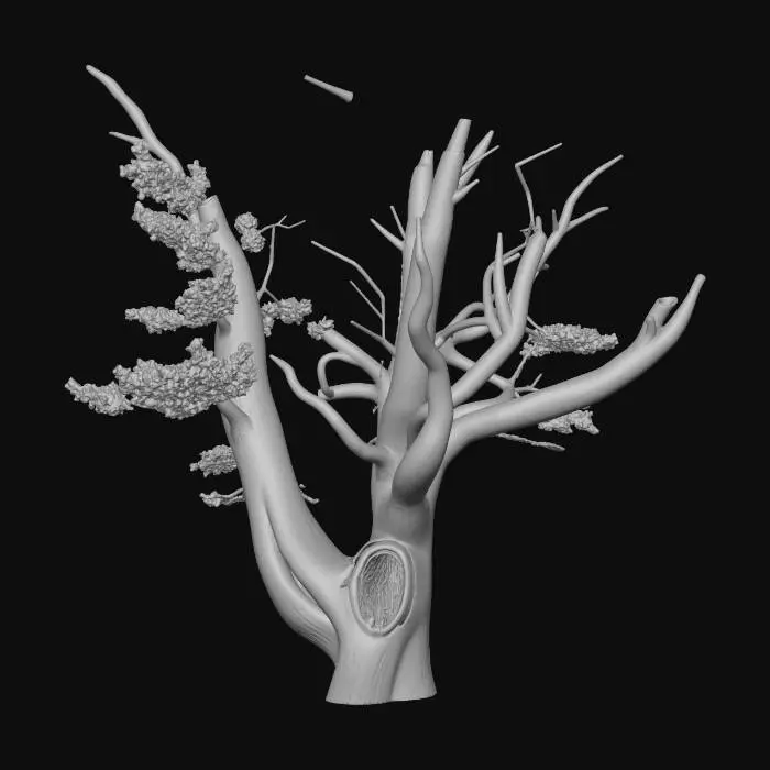 3D model for Enchanted Winter Glow
