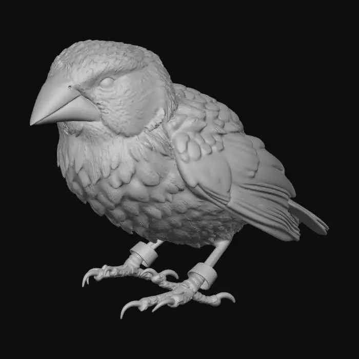 3D model for Galapagos Finch