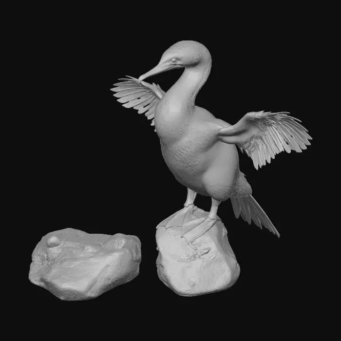 3D model for Flightless Cormorant