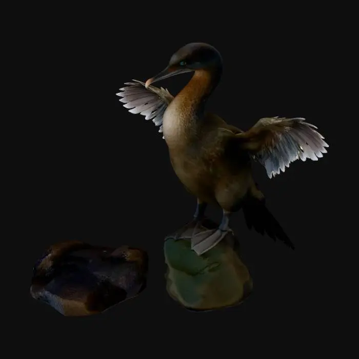 3D model for Flightless Cormorant